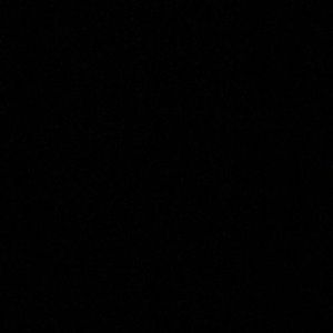 Meet your Posher, Leila